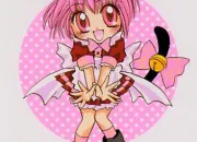 Quiz Tokyo Mew Mew