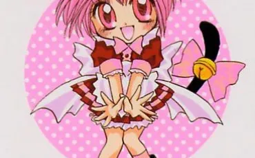 Quiz Tokyo mew mew