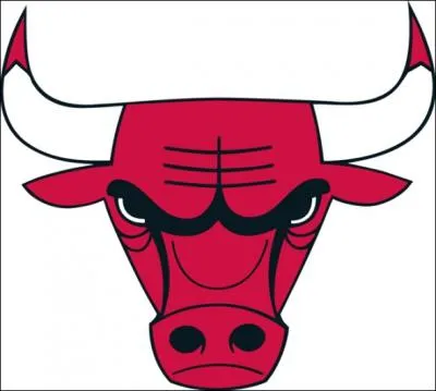 Quelle ville est reprsente par l'quipe des 'Bulls' ?