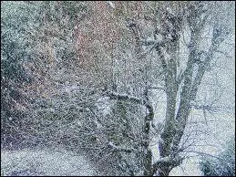 Qui a chant : 'Vive le vent de l'hiver et la chanson de Prvert continue sa route  l'envers' ?