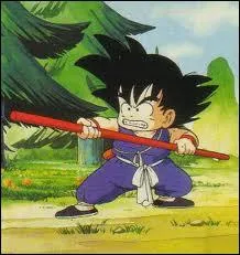 Quand voit-on Sangoku ainsi dans le dessin anim ?