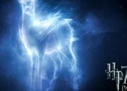 Quiz Les Patronus (2)