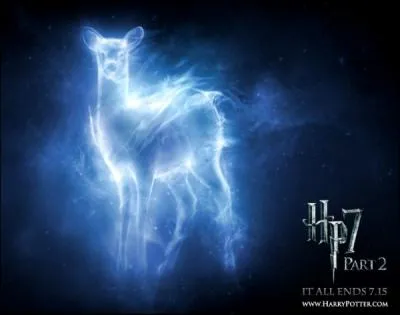  qui est ce Patronus ?