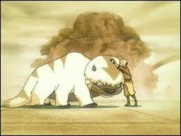 Comment s'appelle le bison volant de Aang ?