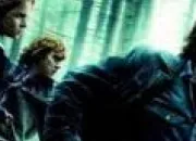 Quiz Harry Potter 7