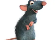 Quiz Le film ' Ratatouille'