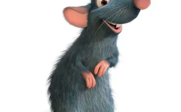 Quiz Ratatouille