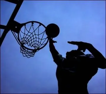 Quel basketteur est le plus grand ? (en taille évidemment ! )