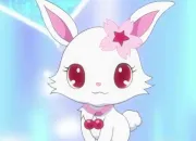 Quiz Jewelpets