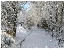 Qui chantait 'Tombe la neige' ?