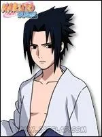 Parmi les affinits suivantes, laquelle appartient  Sasuke ?