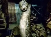 Quiz Harry Potter : Nagini