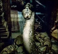 Qu'est Nagini ?