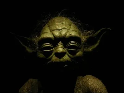 Grce  cette image, pouvez-vous me dire dans quel film de Dany Boon, Matre Yoda aurait pu dire : ' Le Noooord ! c'est '.