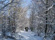 Quiz Les 12 mois de l'anne