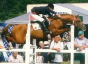 Quiz Les chevaux clbres de concours de saut d'obstacles