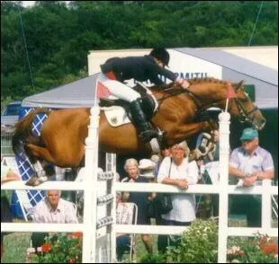 Ce poney de selle allemand est mont par le cavalier Syndicat Linaro. C'est un poney lger avec une tte bien modele. Il est clbre sur les parcours de CSO. Vous avez reconnu :