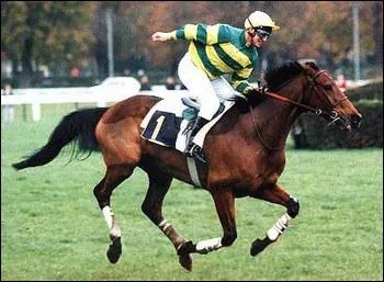 Ce pur-sang anglais est le seul  avoir remport le prix de 'La Haye Jousselin' sept annes de suite. Il possde sa statue de bronze  l'entre de l'hippodrome d'Auteuil. C'est :