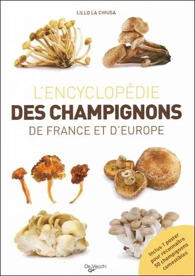 Certains insectes sont capables de cultiver des champignons.