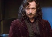 Quiz Sirius Black