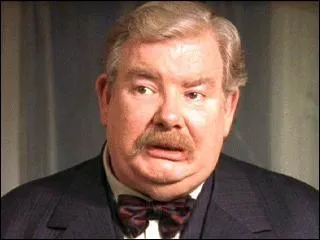 De quelle couleur est la cape du sorcier qui bouscule Mr. Dursley  la sortie de son bureau ?