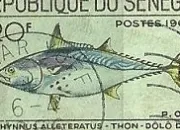 Quiz Les thons par les timbres