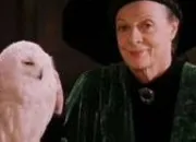 Quiz Les femmes dans Harry Potter : Minerva McGonagall