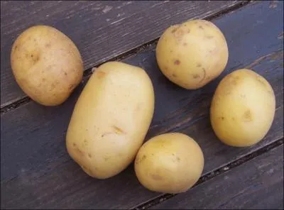 Quel est ce lgume ?