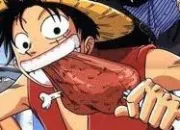 Quiz One Piece : les souhaits