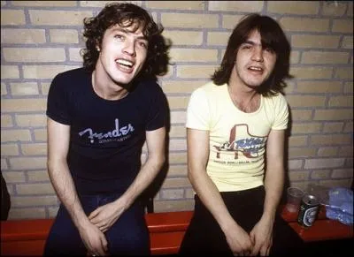 En quelle anne les deux frres Angus et Malcolm Young ont-ils form le groupe AC/DC ?