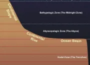 Quiz Les abysses