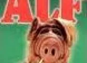 Quiz Alf