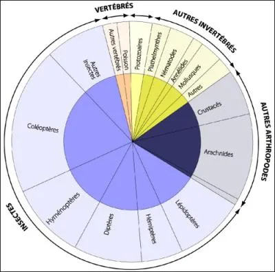 Avec plus de 23 000 espces de poissons, quel est leur pourcentage sur le reste des animaux vertbrs ?