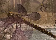 Quiz Carboniferous fauna