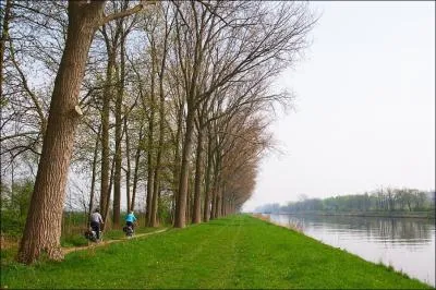 En flamand a donne :  Wanneer de noordewind er onze adem steelt, dan kraakt mijn land... Mijn vlakke land . Le titre en Franais de cette chanson c'est :