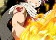 Quiz Fairy Tail, personnages