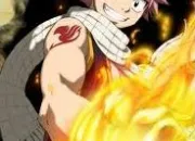 Quiz Fairy Tail