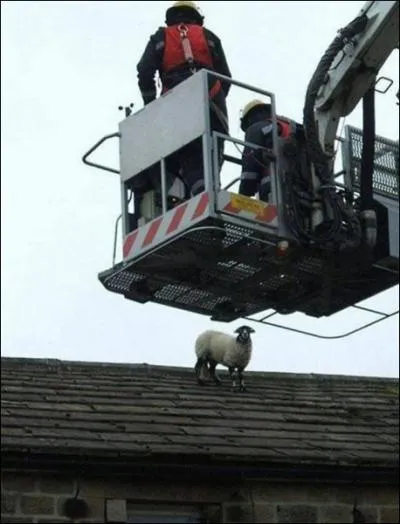 Elle a le pied montagnard !