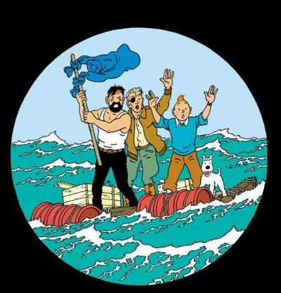 De quelle couverture de Tintin vient cette image ?