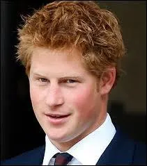 Est-ce le prince William ?