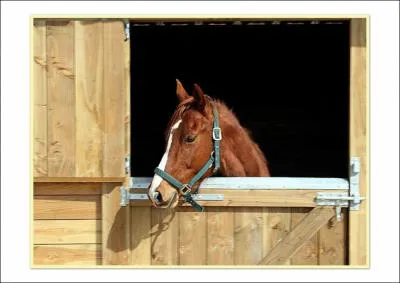 Pour aborder un cheval au box, il faut ...