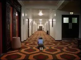 Ceux qui ont regard ce film n'ont pas oubli cette superbe moquette des annes 70 sur laquelle joue Danny Torrance. Quel est ce film culte ?