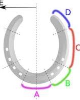 Quiz Equitation