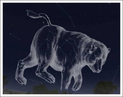 Qui sont  l'origine les constellations de la Grande Ours et de la Petite Ourse ?