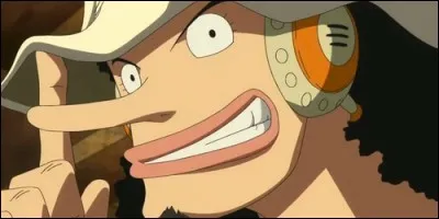 Sur quelle île se retrouve Usopp durant la séparation des deux ans ?