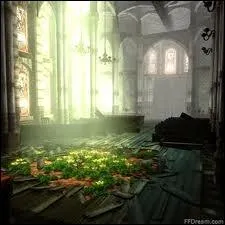 Quelles fleurs, Aeris fait-elle pousser dans son glise ?