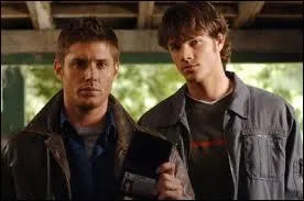 Dans quelle srie retrouve-t-on Sam et Dean ?