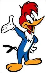 Quelle est la particularit du pivert Woody Woodpecker ?