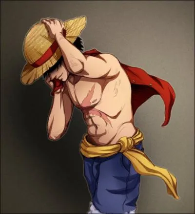 Comment Luffy a-t-il eu la cicatrice sur le torse ?