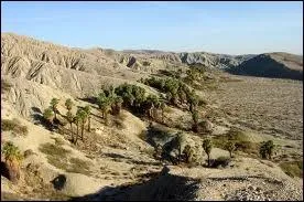 Qui a chant :  La Californie est une frontire entre mer et terre le dsert et la vie  ?